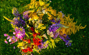 summer flower arrangement